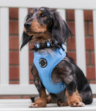 Poppy + Ted - Walk + Wear Cornflower Blue Dog Harness - Nest Pets