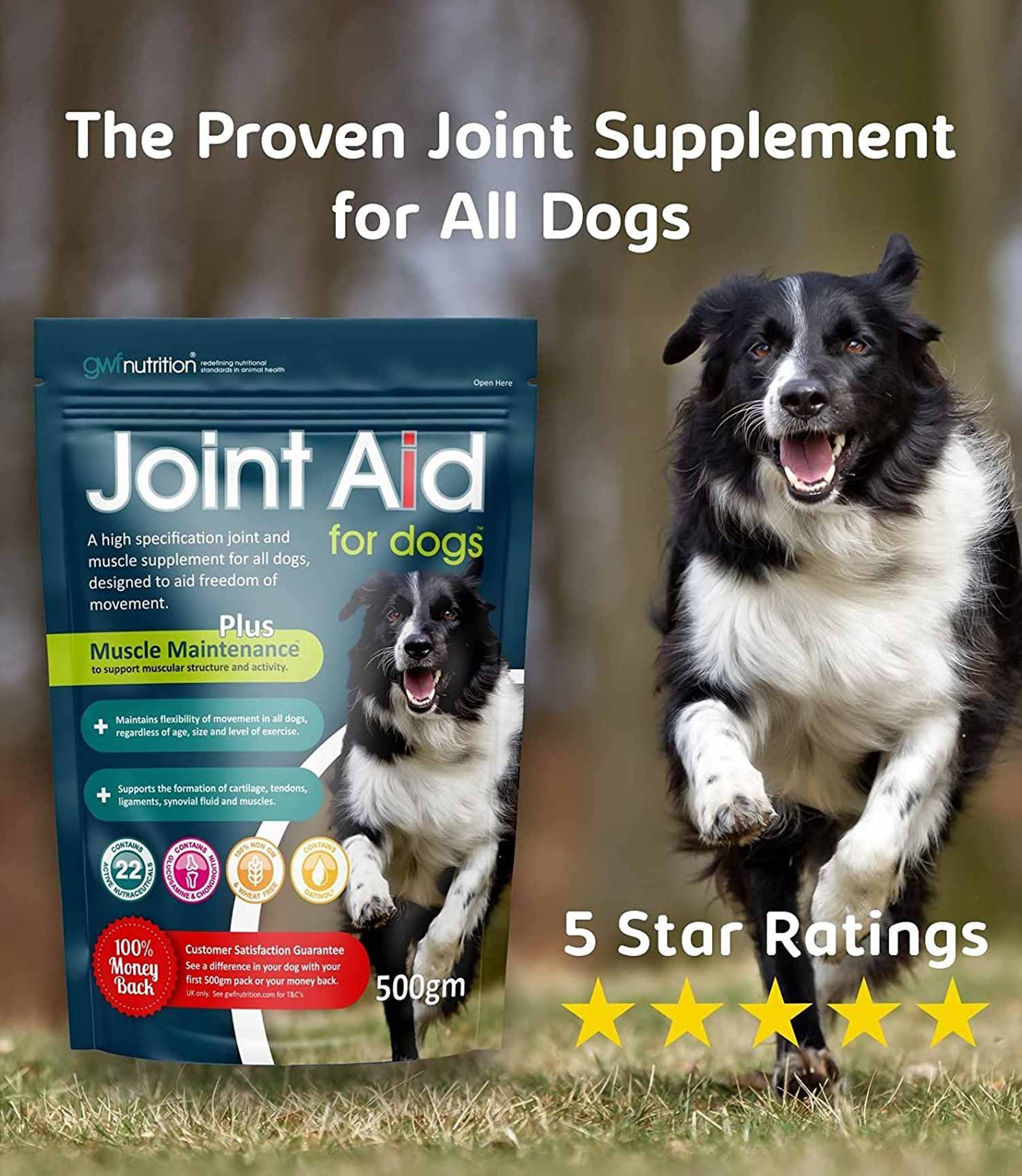 Joint Aid For Dogs + Omega 3 and the Oatinol Delivery System - Nest Pets