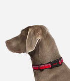 Halti Adjustable Dog Collar - Nest Pets