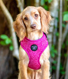 Hounds of Eden 'Bella' - Pink Herringbone Dog Harness - Nest Pets