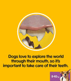 Pedigree Dentastix Daily Adult Small Dog Dental Stick Chews Dog Treats - Nest Pets