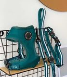 Poppy + Ted - Walk + Wear Teal Dog Collar - Nest Pets