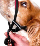 Halti Optifit Headcollar for Dogs - Nest Pets