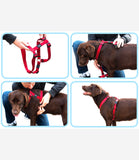 Rogz Utility Dog Harness - Nest Pets