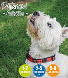 Ancol Adjustable Tartan Dog Collar - Nest Pets