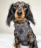 Poppy + Ted - Walk + Wear Happy Stamp Dog Harness - Nest Pets