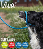 Ancol Viva Reflective Slip Dog Lead - Nest Pets