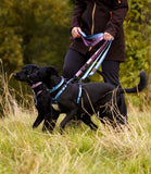 Halti Double End Training Dog Lead - Nest Pets