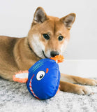 Kong Reefz Assorted Dog Toys - Nest Pets