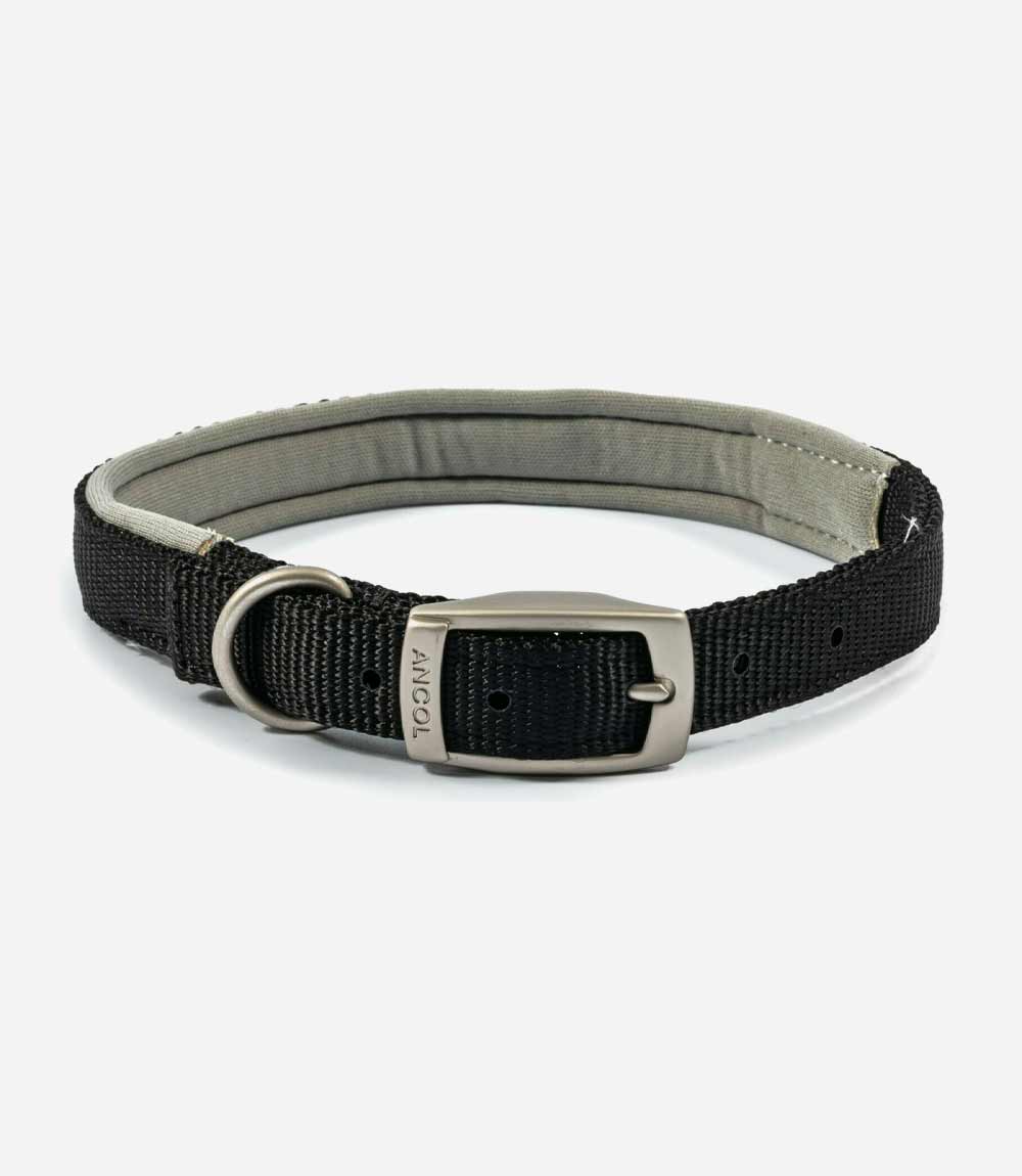 Ancol Padded Buckle Air Hold Dog Collar - Nest Pets